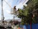 CGE refuerza red eléctrica en Antofagasta con poda preventiva y brigada especializada en líneas energizadas