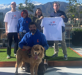 PetMatch: Tecnología al servicio de la adopción de perros y gatos PetMatch: Tecnología al servicio de la adopción de perros y gatos