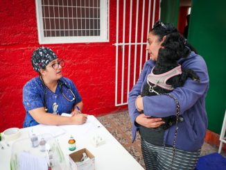 Hasta el domingo sigue plan de esterilizaciones para perros y gatos Hasta el domingo sigue plan de esterilizaciones para perros y gatos