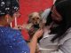 Comienza nueva etapa del plan gratuito de esterilización y chipeo de gatos y perros en seis juntas vecinales