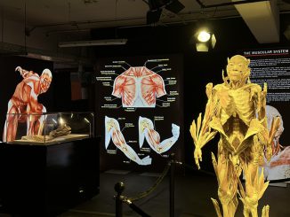 “Bodies Evolution” la exposición científica más impactante del mundo se extiende sus días en Antofagasta “Bodies Evolution” la exposición científica más impactante del mundo se extiende sus días en Antofagasta