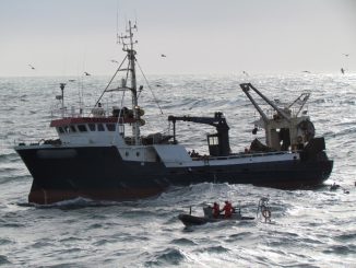 Corte Suprema confirmó procedimiento administrativo sancionatorio de Sernapesca a pesquera de la región de Antofagasta por descarte de jurel y caballa Corte Suprema confirmó procedimiento administrativo sancionatorio de Sernapesca a pesquera de la región de Antofagasta por descarte de jurel y caballa