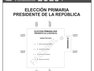 SERVEL publica facsímil de la papeleta para las Primarias Presidenciales del 29 de junio SERVEL publica facsímil de la papeleta para las Primarias Presidenciales del 29 de junio