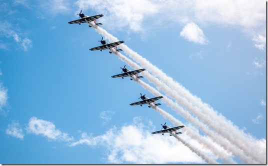halcones-16