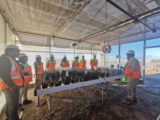 Albemarle y Ausenco presentaron resultados de ambicioso proyecto de restauración ecológica en el Salar de Atacama Albemarle y Ausenco presentaron resultados de ambicioso proyecto de restauración ecológica en el Salar de Atacama
