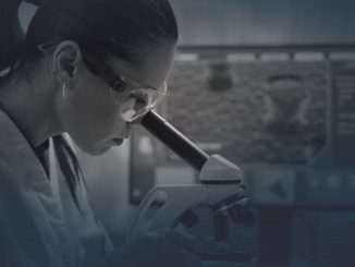 Se abren las postulaciones para el premio “For Women in Science 2025” en Chile Se abren las postulaciones para el premio “For Women in Science 2025” en Chile