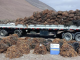 Fiscalización en Tocopilla terminó con la incautación de 12 toneladas de algas pardas sin acreditar origen legal