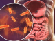 Listeriosis: la infección silenciosa que puede tener graves consecuencias para la salud