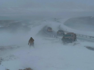 Exitoso rescate en la zona norte: Ejército y autoridades auxilian a turistas varados por la nieve