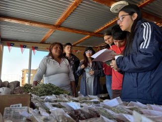 Informe revela que más de 26 mil mujeres emprenden de manera informal en Antofagasta Informe revela que más de 26 mil mujeres emprenden de manera informal en Antofagasta
