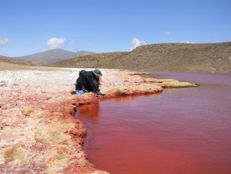 Científicos de la UA posicionaron la Ecología Microbiana del Desierto de Atacama en Congreso Latinoamericano Científicos de la UA posicionaron la Ecología Microbiana del Desierto de Atacama en Congreso Latinoamericano