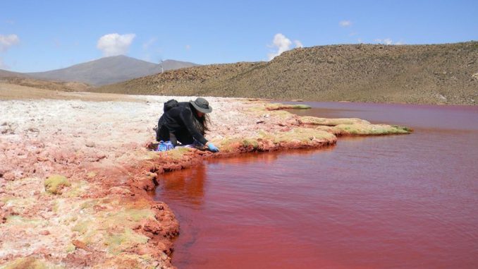 Científicos de la UA posicionaron la Ecología Microbiana del Desierto de Atacama en Congreso Latinoamericano