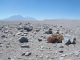 Tribunal Ambiental descarta daño ambiental en proyecto Parque Eólico Ckhúri