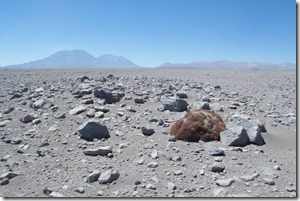 D30.1