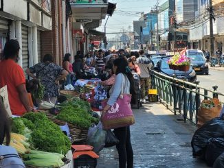 Municipios piden a SII iniciar acciones legales contra quienes abastecen al comercio ambulante ilegal Municipios piden a SII iniciar acciones legales contra quienes abastecen al comercio ambulante ilegal