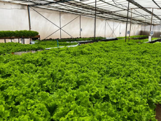 Agricultores de Altos La Portada estrenan obras de riego por $132 millones Agricultores de Altos La Portada estrenan obras de riego por $132 millones