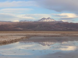 SQM reducirá al 50% el uso de agua continental en el Salar de Atacama y consolida 17% del mercado global de litio SQM reducirá al 50% el uso de agua continental en el Salar de Atacama y consolida 17% del mercado global de litio