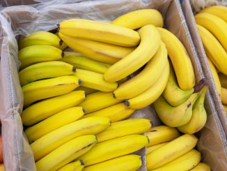 ¿Por qué a los niños les cuesta comer fruta (y qué podemos hacer para cambiarlo)? ¿Por qué a los niños les cuesta comer fruta (y qué podemos hacer para cambiarlo)?