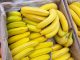 ¿Por qué a los niños les cuesta comer fruta (y qué podemos hacer para cambiarlo)?
