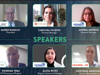 Webinar internacional EXPONOR destaca el potencial de la minería chilena