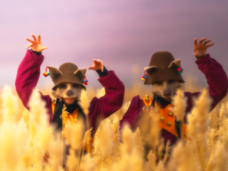 Identidades Festival presenta la programación artística de su XI edición en Antofagasta: Conexiones 2025 Identidades Festival presenta la programación artística de su XI edición en Antofagasta: Conexiones 2025