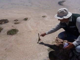 Antofagasta: Primer Tribunal Ambiental admite a trámite reclamación de Albemarle contra multa de la SMA por casi $4 mil millones