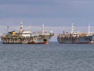 Pesca artesanal pide al gobierno coordinar medidas con Perú y Ecuador para mejorar fiscalización de flota china en el Pacífico sur