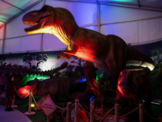 Dino Adventure llega a Antofagasta: vive una aventura única en familia