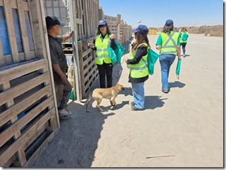 CP Grupo Cbb_Antofagasta 2025