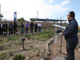 Municipalidad de Antofagasta reafirma compromiso con humedales tras reconocimiento internacional a la Aguada La Chimba