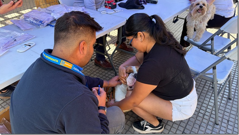 WhatsApp Image 2025-11-19 at 11.22.04