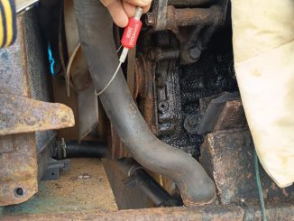 Sernapesca Antofagasta cumplió con fallo condenatorio a planta transformadora por la posesión de huiro negro extraído ilegalmente