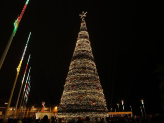 Por primera vez Antofagasta tendrá cuatro árboles de Navidad, la Costanera iluminada y entregarán 29 mil regalos