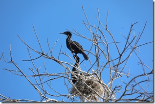 WhatsApp Image 2026-01-08 at 12.40.15