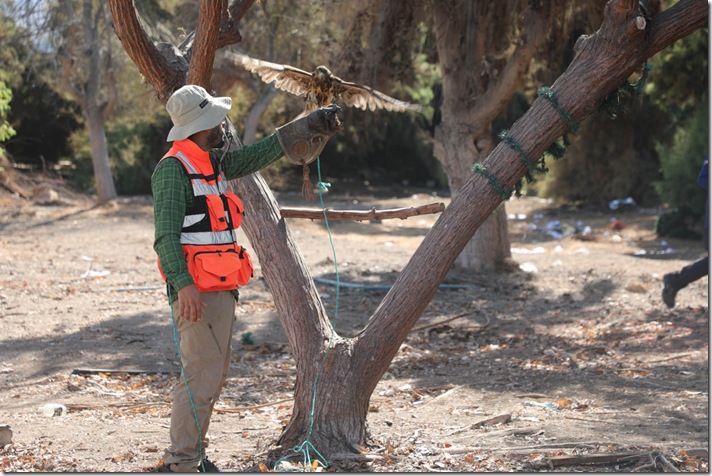 WhatsApp Image 2026-01-08 at 12.40.17 (1)