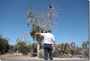 WhatsApp Image 2026-01-08 at 12.40.18