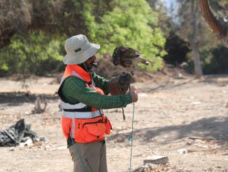 Con aves ayudar&aacute;n a recuperar Vivero Municipal