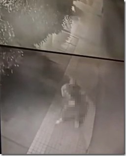 WhatsApp Image 2026-01-17 at 12.40.10 PM