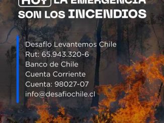 Desaf&iacute;o Levantemos Chile despliega equipos en zona de cat&aacute;strofe e inicia entrega de ayuda para familias afectadas por incendios en el sur