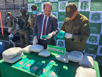 Antofagasta: incautan más de una tonelada de marihuana y casi 650 kilos de hoja de coca en controles en ruta