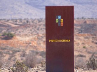 Dominga suma nuevo vuelco judicial: Corte de Antofagasta anula todo lo obrado por tribunal ambiental
