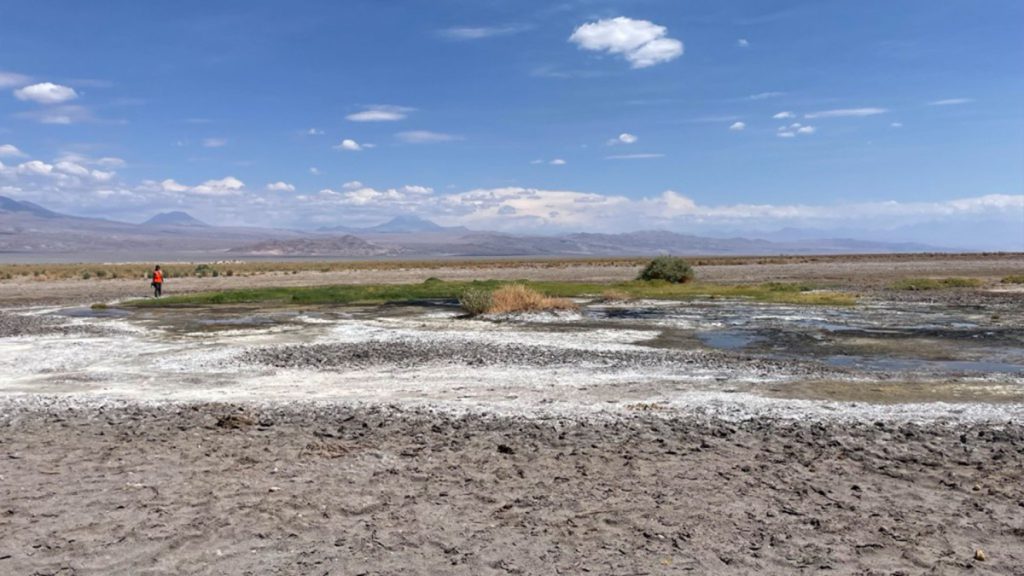 En San Pedro de Atacama: Aula Salar invita a postular al primer Diplomado en Cambio Climático, Biodiversidad y Tecnologías Sustentables del territorio
