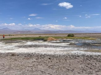 En San Pedro de Atacama: Aula Salar invita a postular al primer Diplomado en Cambio Climático, Biodiversidad y Tecnologías Sustentables del territorio