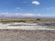 En San Pedro de Atacama: Aula Salar invita a postular al primer Diplomado en Cambio Climático, Biodiversidad y Tecnologías Sustentables del territorio