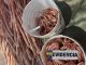 PDI Antofagasta recupera cuatro toneladas de cable de cobre sustra&iacute;das desde faena minera en Sierra Gorda