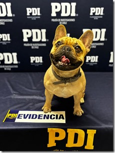 WhatsApp Image 2026-02-04 at 10.23.28 AM