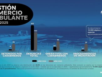 Grandes avances muestra trabajo conjunto entre Municipio de Antofagasta y Carabineros en control de comercio ambulante