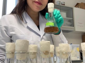 Investigadora antofagastina avanza en Francia en el reciclaje biol&oacute;gico de bater&iacute;as de litio