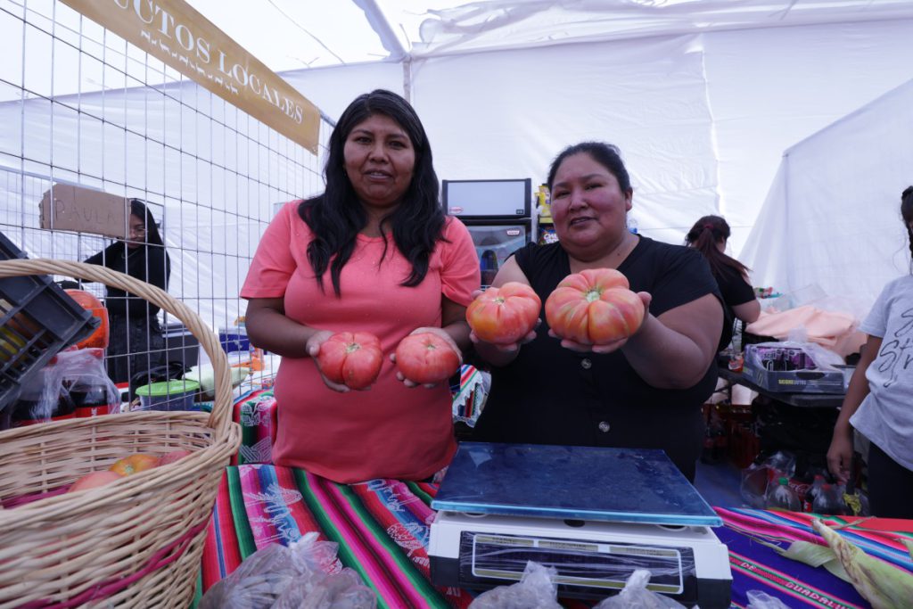 Fiesta del Tomate de Camar reunió a cerca de 3 mil personas y celebró la identidad agrícola del oasis