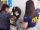 Indignación en Antofagasta: perro queda internado tras grave caso de maltrato animal